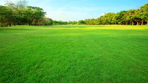 open lawn in Godrej Greens, Pune