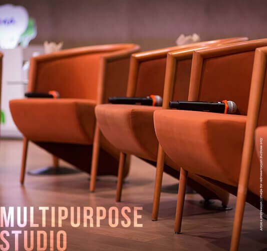 Mutlipupose Studio