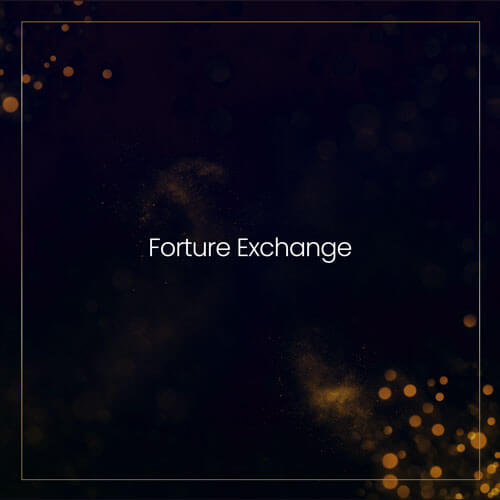 Fortune Exchange