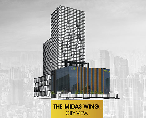 The Midas Wing