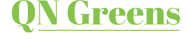 QN Green Logo