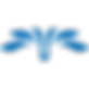 Sugee Transparent New Blue.png