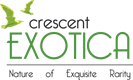 Crescent Exotica Logo