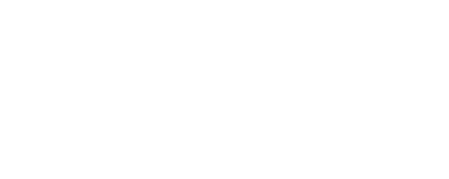 Neelsidhi Anexo Logo