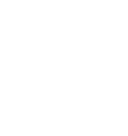 Raheja Viva