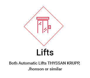 Both Auto Lifts